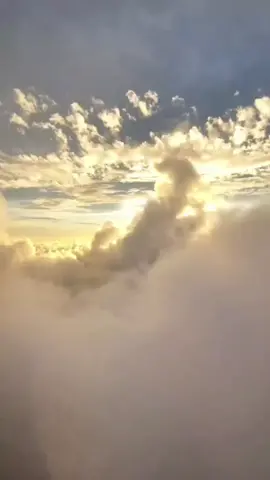 Antarctica's small moments🇦🇶#antartica #pinguin #whale #silverseacruises  #cruise  #expedition #travel #ice #snow #southpole #polar #nature #sea #sunset #ship #explore #thisissilversea