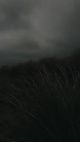 how can emptiness be so heavy