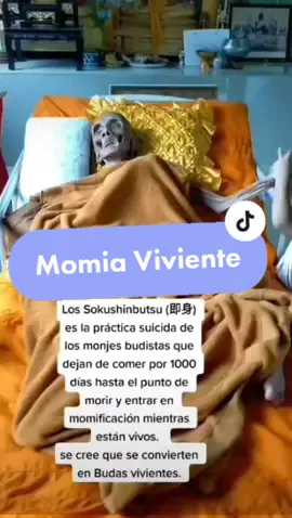 En este proceso se alimentan de nueces, frutos secos y té de una hierba que les ayuda a momificarse y preservarse. 😱😱los conocías?? #sokushinbutsu #即身仏 #buda #momiaviviente #monjebudista