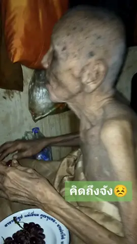 คลิปนี้เมื่อ5 ปีที่แล้ว ดูความฉันของชอบสิรีบเคี้ยวรีบฉันเลยน๊า🥺  เดี๋ยววันเกิดที่จะถึงนี้ อุ้ยจะซื้อมาให้ฉันนะหลวงพ่อใหญ่