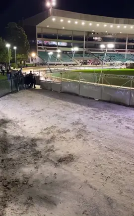 A great video posted by The Dogs on what goes on during a race that not many people see! 👏🏻 #greyhounds #greyhoudracing #wentworthpark