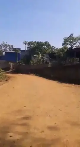 mới lần đầu làm trend mong mn tim cho mik với 😊😁