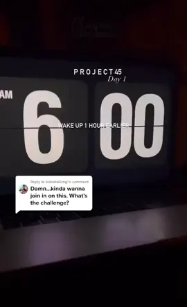 Reply to @kiabetalking here’s the rules for #Project45 let me know if y’all joining in. ✨ #fy #lifestyleblogger #Lifestyle #contentcreator