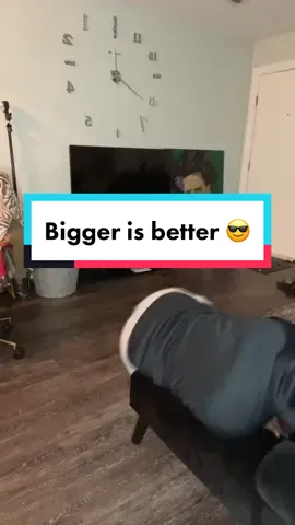 Shrimp 🍤 Gang 4 Life ✊🏽😭 tap the link in my bio ✅ #relationships #badacting #biggerisbetter