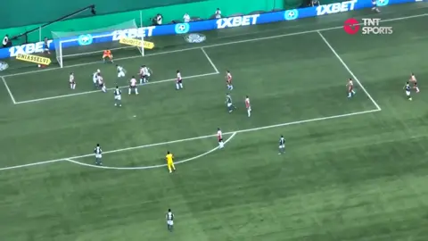 #palmeiras #saopaulo #paulistao #paulistao2022 #allianz #morumbi #allianzparque #allianzpark #acabapeloamordedeus #viradahistorica