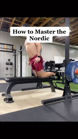 Single leg back extensions are a great place to start working towards a Nordic. #fyp #funtionaltraining #nordic #hamstingworkout #glute #movementcoach