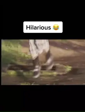 An imposter is among us lads #AmongUs #funny #like #follow #foryou #fyp