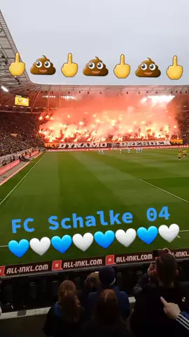 #fypシ #viral #s04 #sgd #matchday #fußball #2liga #pyro #sachsen #germany #schalke #dresden #vielrauchumnichts #schei_dynamo #kblockdynamo