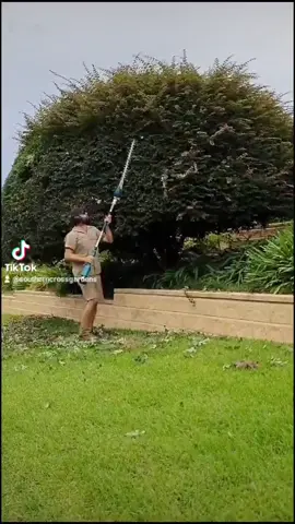 Getting it done!! #hedging #hedgetok #tik #tok #work #lovemyjob #satisfyingvideo #hyperlapsevideo #foryou #Australia #viraltiktok #fypシ #CleanTok #blowthisup #thisis4u