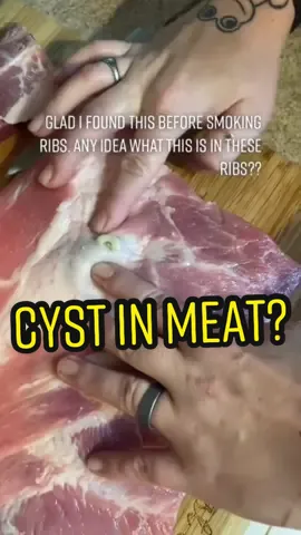 Finding Cysts in meat?? #vegan #govegan #plantbased #animallover #diet #healthy
