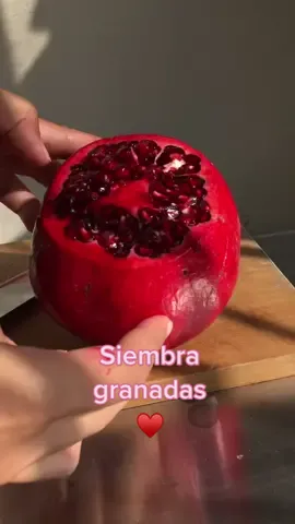 Responder a @_.ksjdjsksjd._  como amo esta fruta 🤤♥️ #planttiktok #PlantTok #granada #grenade #fruits #siembraencasa #semillas #seeds #plantlady #plantlife #plantlove #huertourbano #huertoencasa