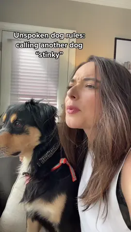 Unspoken dog rules: it’s only okay when i call him stinky