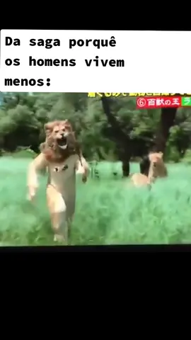 GOSTO MTO DE VOCÊ LEÃOZINHO #humor #meme #memestiktok #trending #tentenãorir #videosengracados  #pegadinha