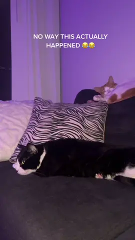 😳😳😳😳 #fyp