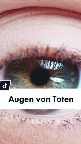 Glaubt ihr, der Beruf wäre etwas für euch? #bestatter #fürth