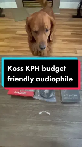The Koss KPH live up to the hype as a budget friendly audiophile option.   #music #koss #audiophile