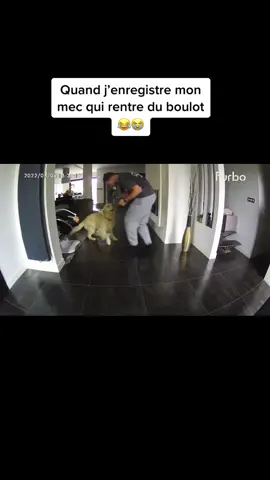 Il est pas comme ça quand il me retrouve 🤔😂 #goldenretriever #fyp #pourtoi #foryou #cameracontrol