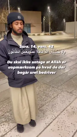 Vid at Allah ﷻ kender til alt, tro derfor aldrig at Han ﷻ er uopmærksom på dem som begår uret ☝🏼#islam #koran #muslim #viral #allah #muslimah #bismillah #alhamdulillah #allahuakbar #worldwide