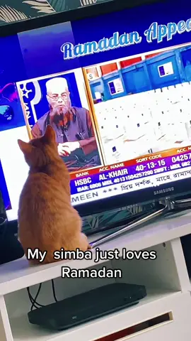 Think he wants to donate #foryoupage #fypシ #Ramadan #bengalicabbie #JDAirMaxMode #donation