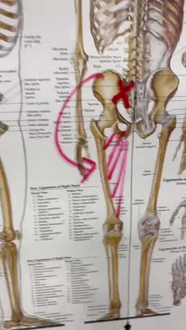 R.I.P. BACK PAIN #backpain #stretch