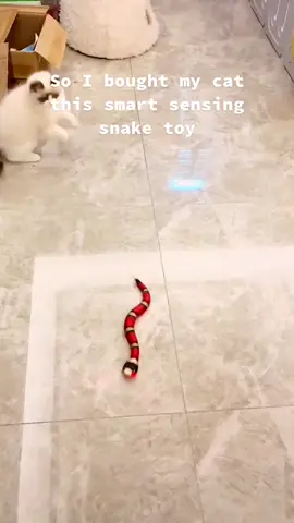 It’s 35% off now! #fypシ #fypage #catsoftiktok #cats #catlover