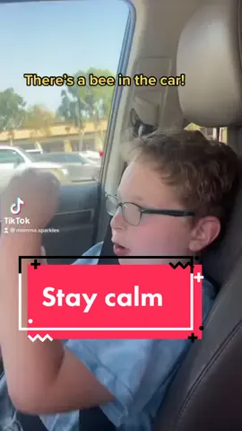 Are you afraid of bees? #momandsontiktok #momvibes #staycalm #mom #momcomedy