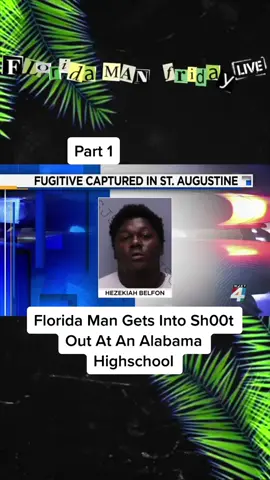 #BigComfy #EasyWithAdobeExpress  #onlyinflorida