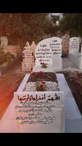 #duhok #karkuk #اللهم_صلي_على_نبينا_محمد #الله #اسلام #موسڵمانم🕌📿🤎 #وتەی_جوان #هەولێرەکەم #دهۆک #کەرکوک #سلێمانی #هەڵەبجە #کەلار #hawler