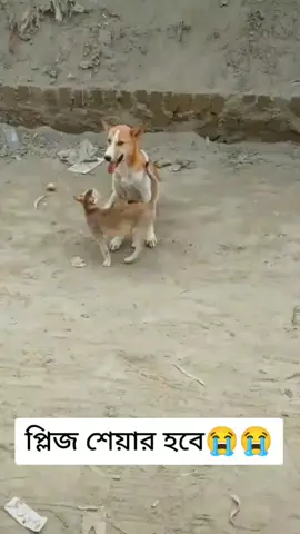 #foryou #foryoupage #bdtiktokofficial #pubgmobile #aesthetic #প্লিজ#শেয়ার#হব😭😭