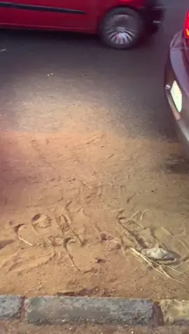 سيارات سودانية 🔥 ماشاء الله❤️#سيارات #السودان #بحرين #امدرمان_السودان #اكسبلورexplore #اكسبلور؟ #سيارات_فخمة #تفحيط_قراند #تفحيط_هجول يتم تنفيذ الأفعال الواردة في هذا الفيديو بواسطة محترفين أو تحت إشراف متخصصين