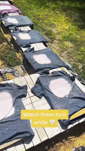 Sunny days 🌞#bleaching #bleachedshirts #sunny #bleachedtees #SmallBusiness #texasvibes #EasyWithAdobeExpress #fyp