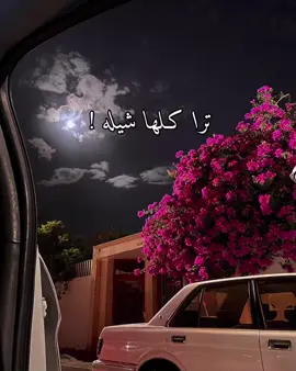 الشيله هذي لمّست قلبي 💔❤️. #explor #fyp #زايد_بن_سابر #اكسبلور؟ #explorer