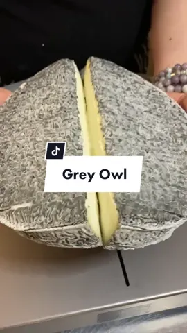 Oh hello Grey Owl #cheese #cheesetok #cheesetiktok #food #foodtiktok #FoodTok ##goatcheese #quebec #quebectiktok #cheesemonger