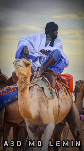 ياربي إن حل بي مالا مرد له #الشافعي #visit_mauritania #اكسبلورexplore
