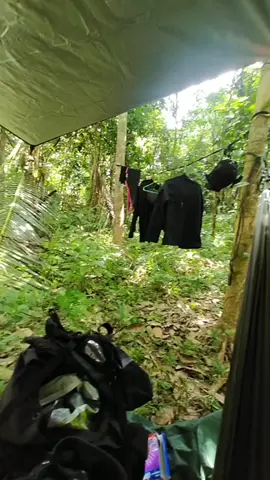 เข้าป่าลาดตระเวน #ทหารพรานชายแดนใต้