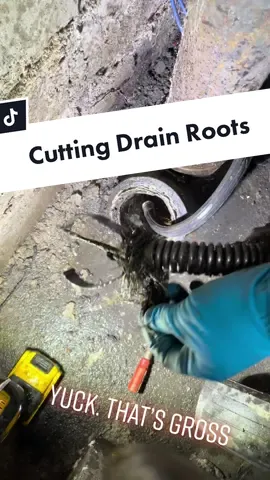 #sewage #backup #ridgidtools #sewerinspection #draincleaning #treeroot #plumbing #plumbingpov #gross