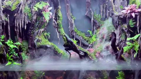 Susah banget bikin video cinematic 🥴 #paludarium #airterjunasap #FYP #PemandanganBaru