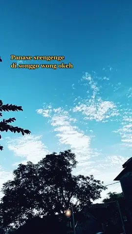 #bahagialahselalu #tetapberusaha #yakinlah #yakinlah