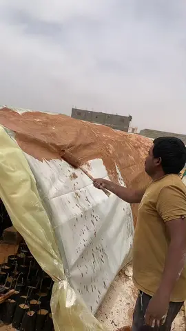 #طبرجل_الجوف #اكسبلور؟