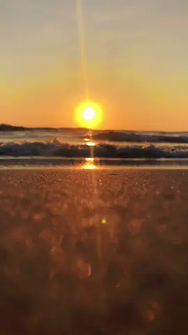 Video gốc cho ai cần edit ghép nhạc cứ lưu về ghép đi nhé chúc mọi người buổi tối vui vẻ 😊#1994 #fypシ #foryou #77binhdinh