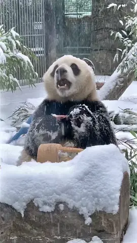 After this snow, it will be warm.🥰