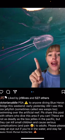Reply to @a_lease_duh tiktok took it down the first time for “dangerous acts” 😂😂