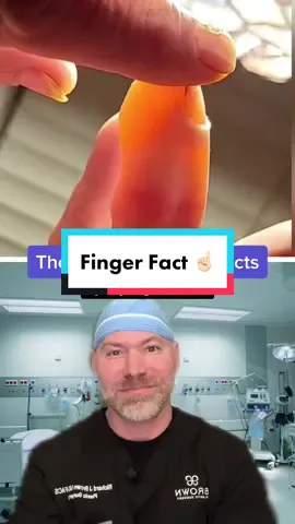 #duet with @therealtiktokdoc #fact #nrownsanatomy #finger @johnhagadorn002