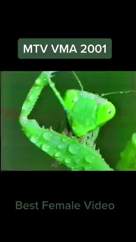 #music #pop #mtvma2001