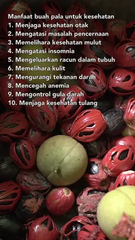 buah pala #buahpala #buah #sehat #manfaat #kesehatan
