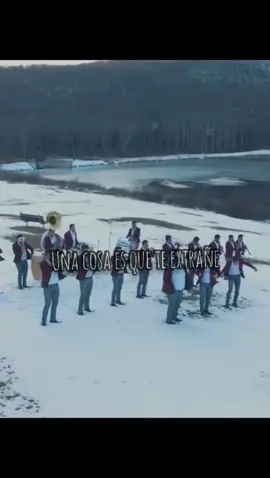 Pudo - Los Sebastianes #musica #banda #lomejor #comparte #❤️