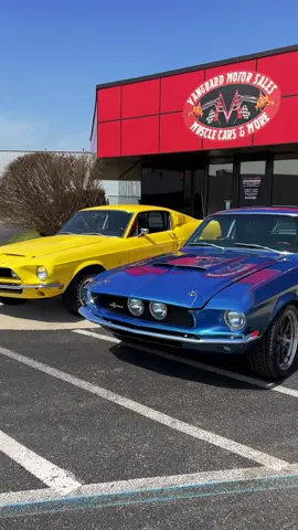 What’s better than one Shelby GT500? TWO!