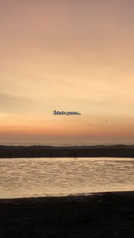 #viral #parati #foryou #frases_aesthetic #frasesytextos #escritosytextos #estadosparawhatsapp #mejia #arequipa #sunset #playa #beach #atardeceres #coldplay #fixyou #motivacion #xbyzca #frasescortas #atardecerenlaplaya #xyzbca #tiktokfrases