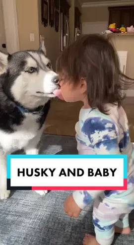 That laugh! #dogs #dog #dogsoftiktok #dogsofttiktok #baby #toddler #babiesoftiktok #toddlersoftiktok #husky #huskylife #kiss #kisses #dogsandbabies #Love #PetsOfTikTok #pets #doglover #fyp #byebyesundayblues