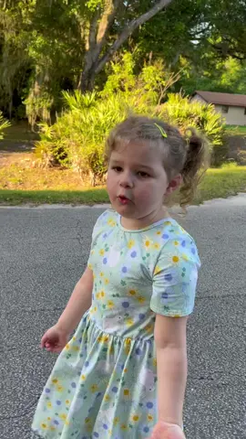 Horse Wisperer Florida edition #fyp #florida #horse #animals